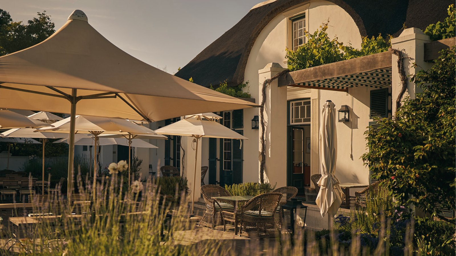 winery-anthonij-rupert