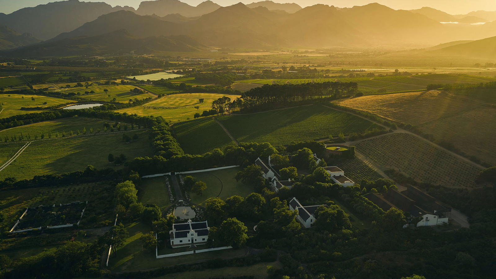 winery-anthonij-rupert