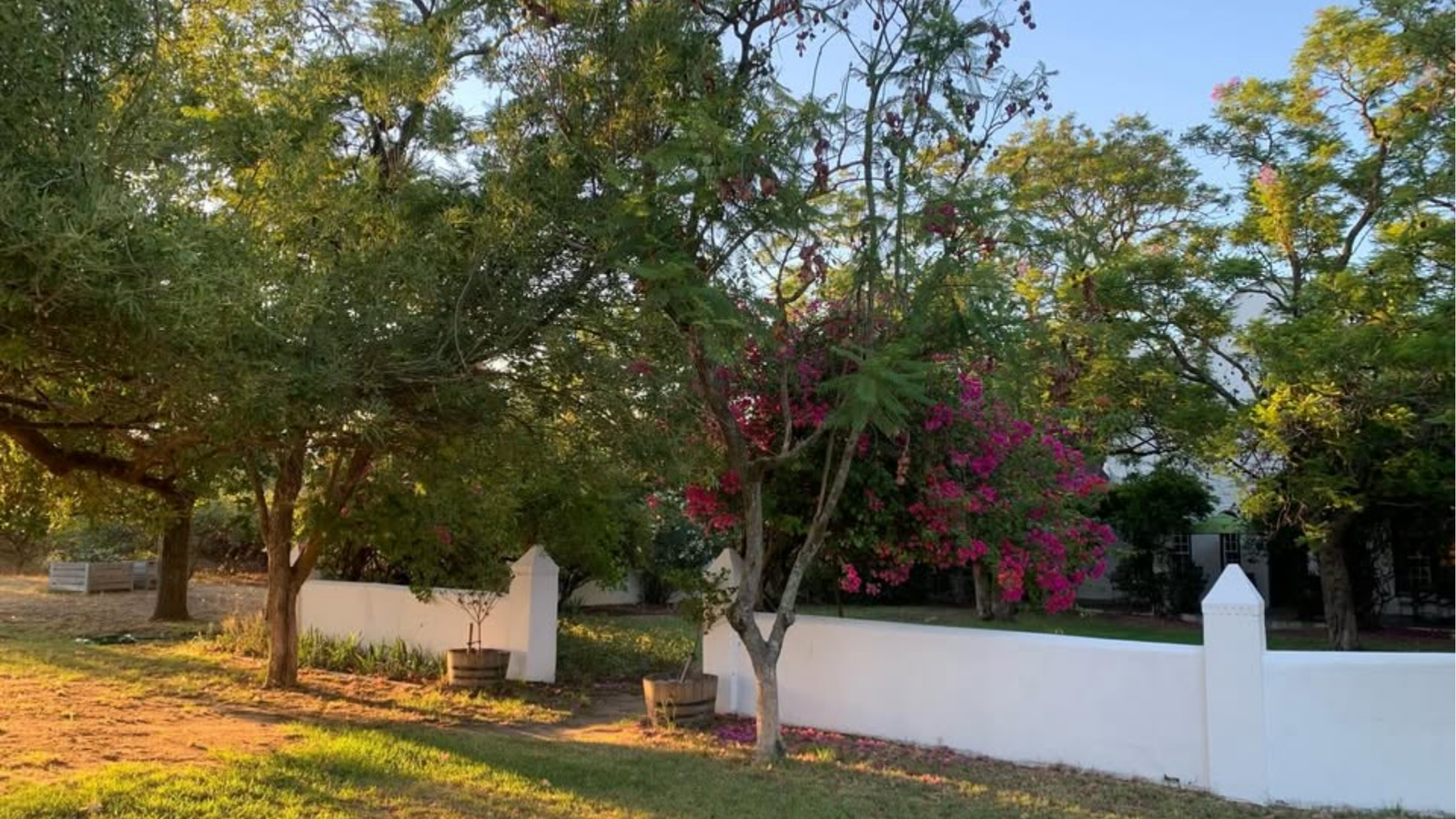 winery-jacaranda
