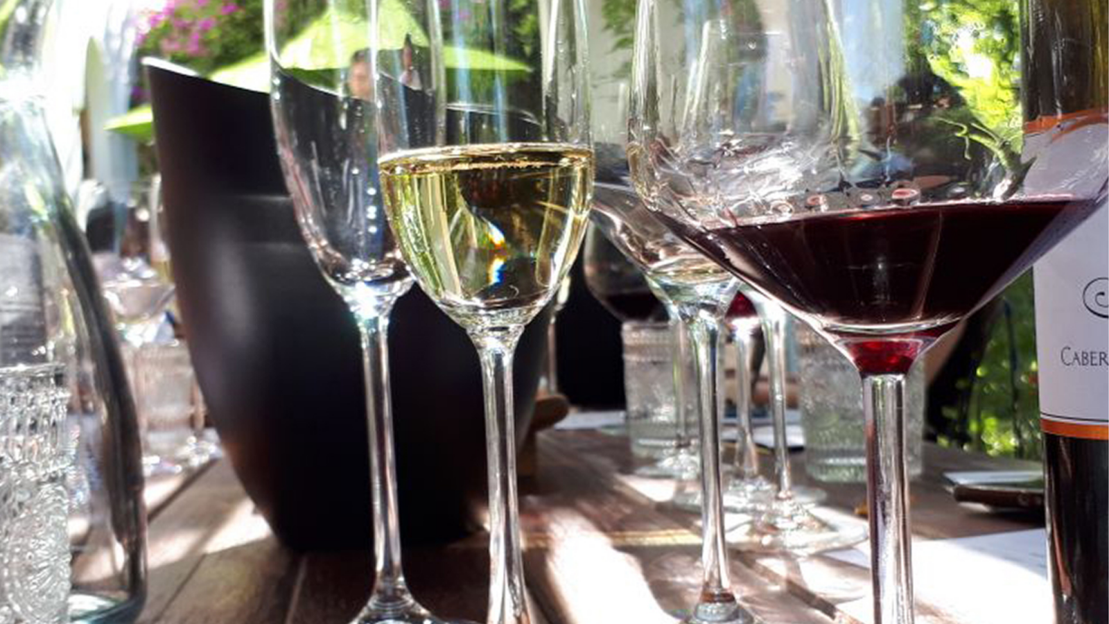 winery-jacaranda