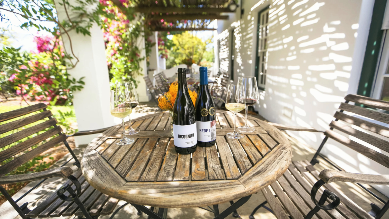 winery-jacaranda