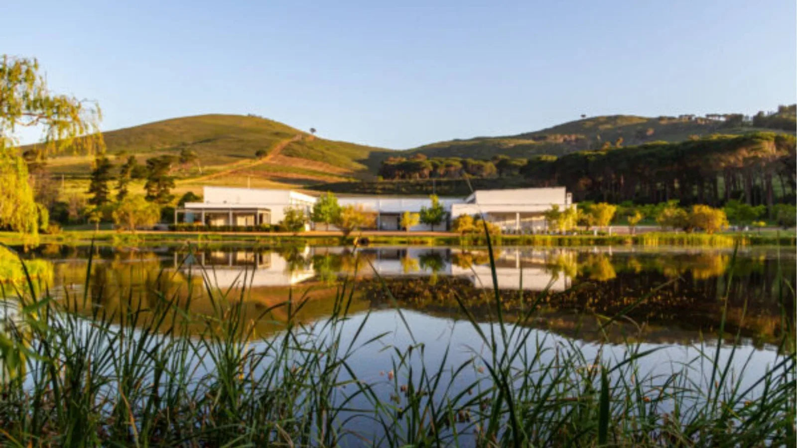 winery-morgenster