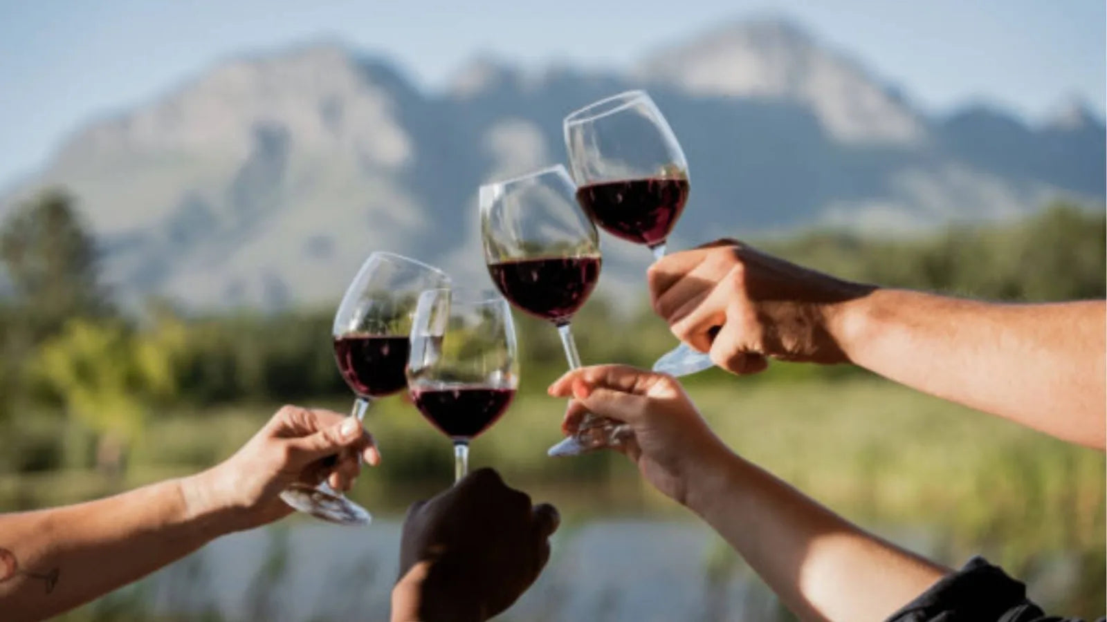 winery-morgenster