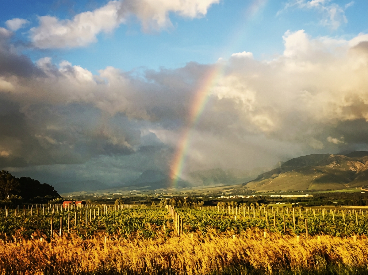 winery-noble-hill