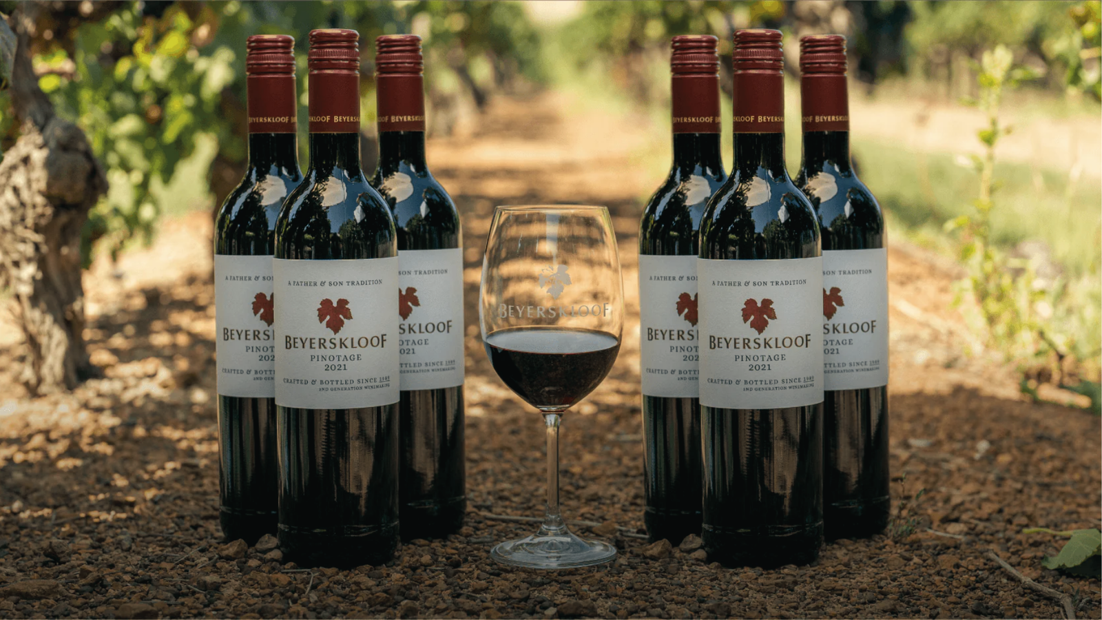 winery-beyerskloof
