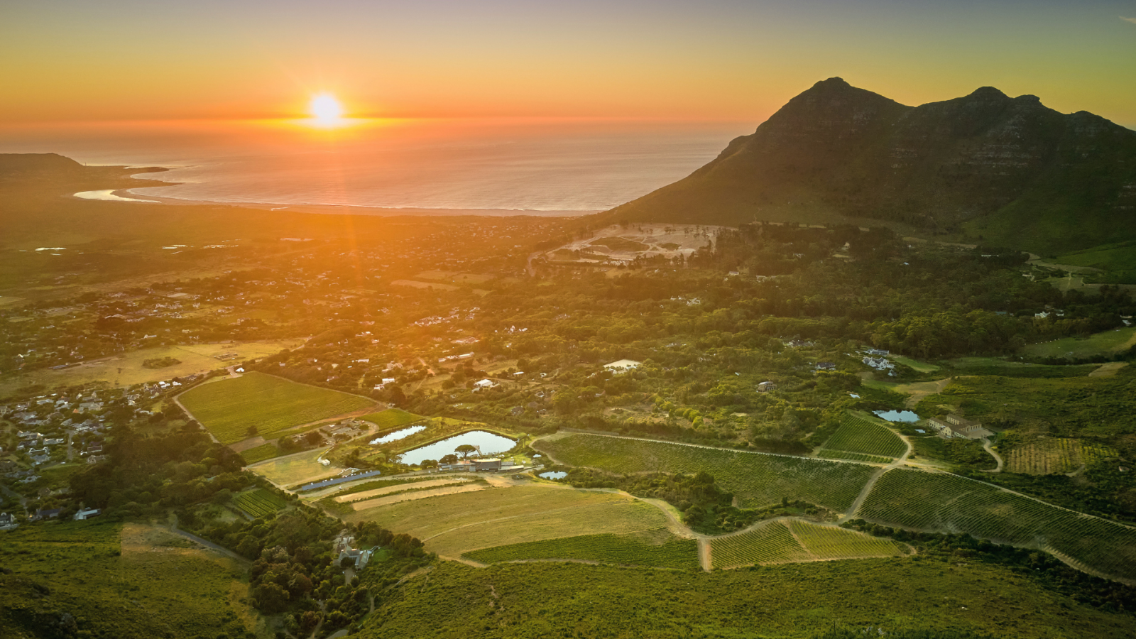 winery-cape-point-vineyards