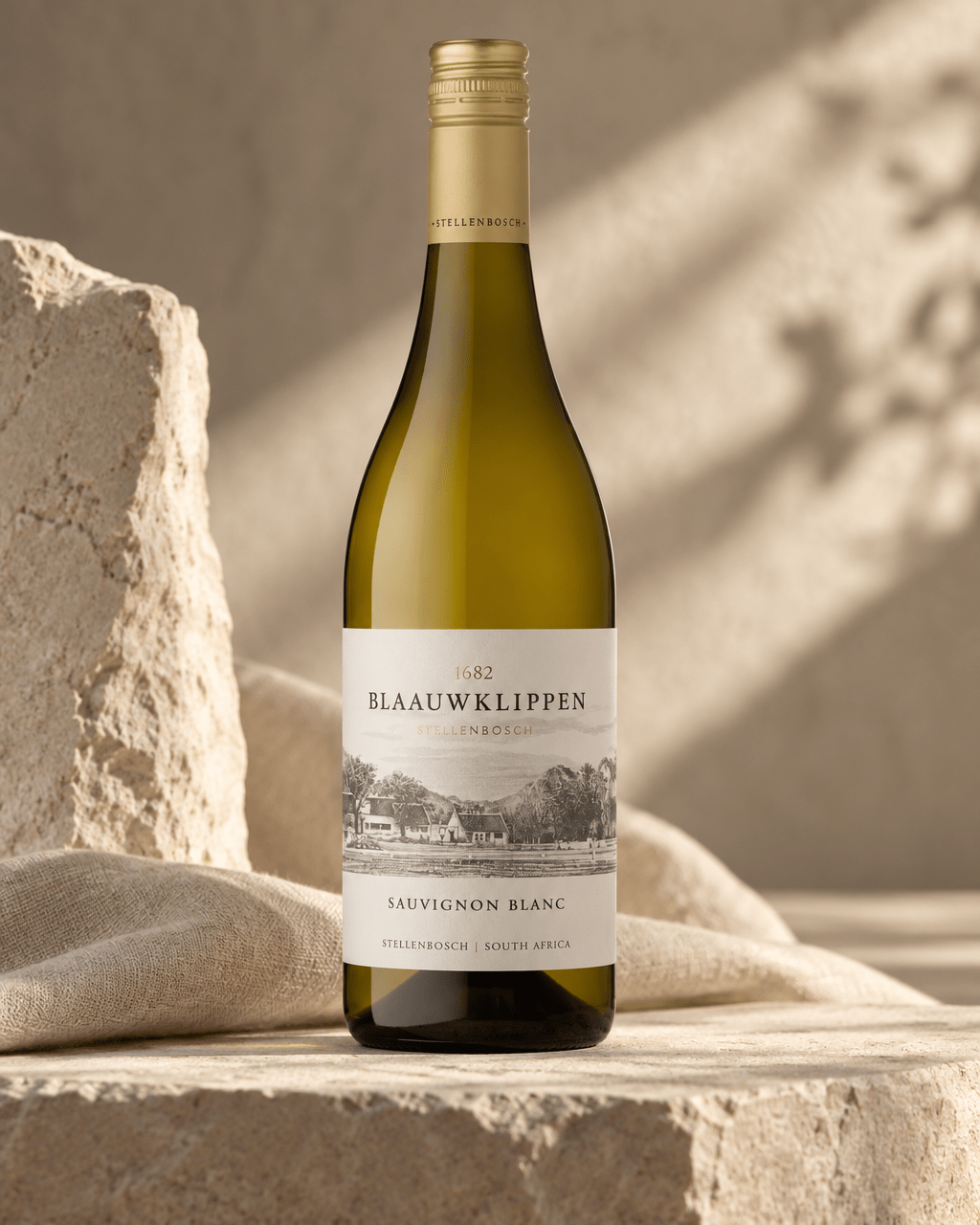Introducing Blaauwklippen - Blaauwklippen | The WineStore in Europe DE