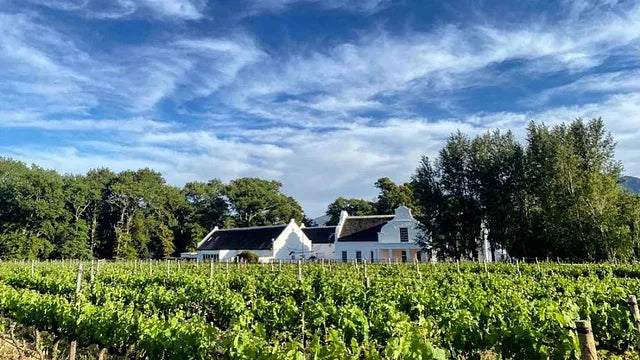 winery-holden-manz