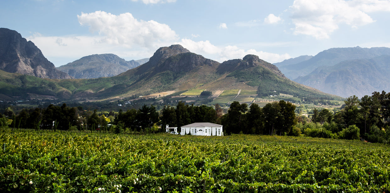 winery-le-lude