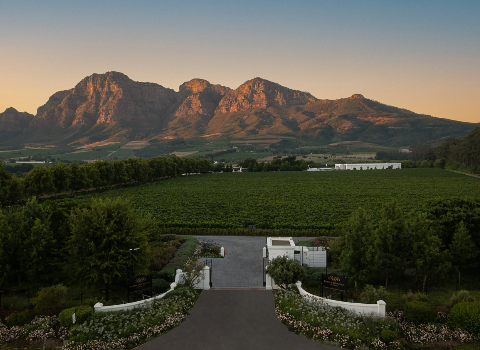 winery-rupert-rothschild