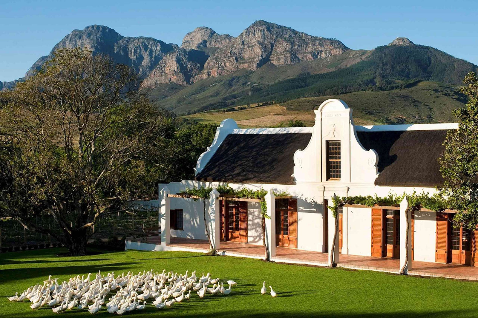 winery-glen-carlou