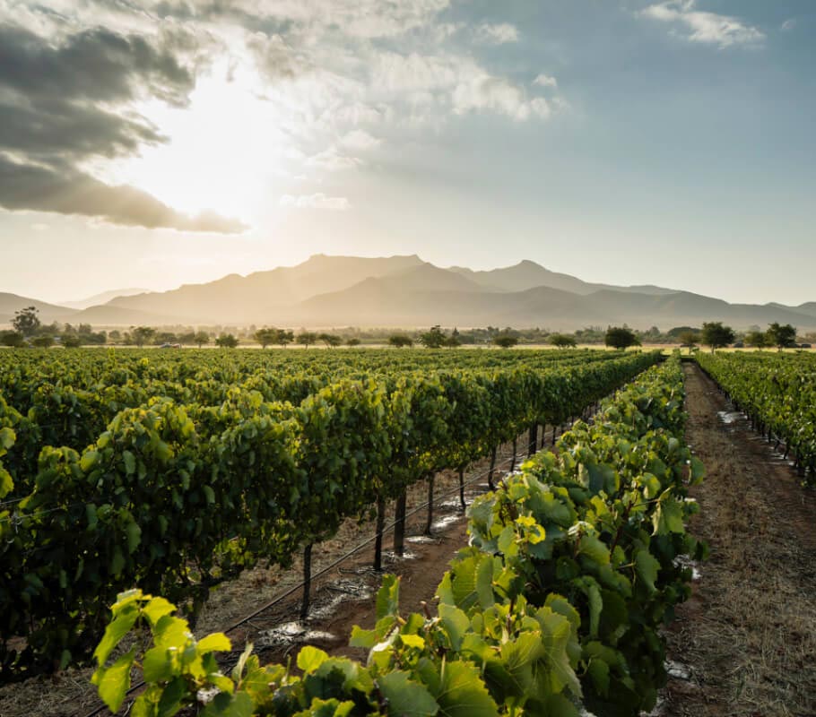 winery-graham-beck