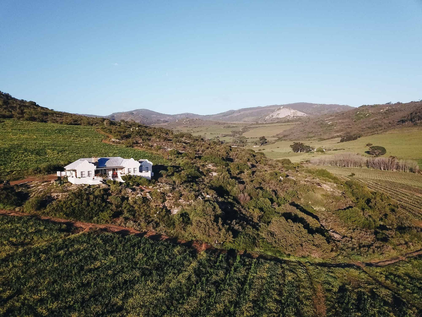 winery-david-nadia