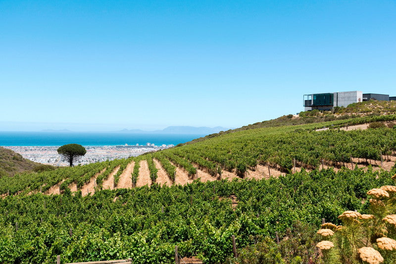 winery-glen-carlou
