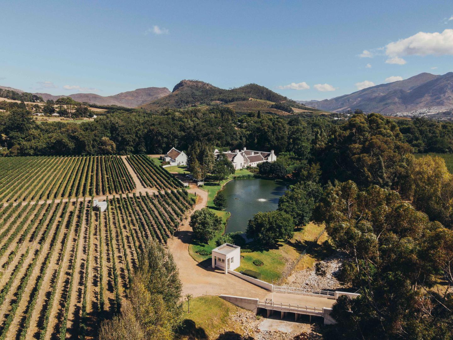 winery-holden-manz