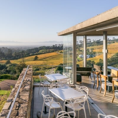 winery-beau-constantia