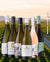Weine aus Neuseeland