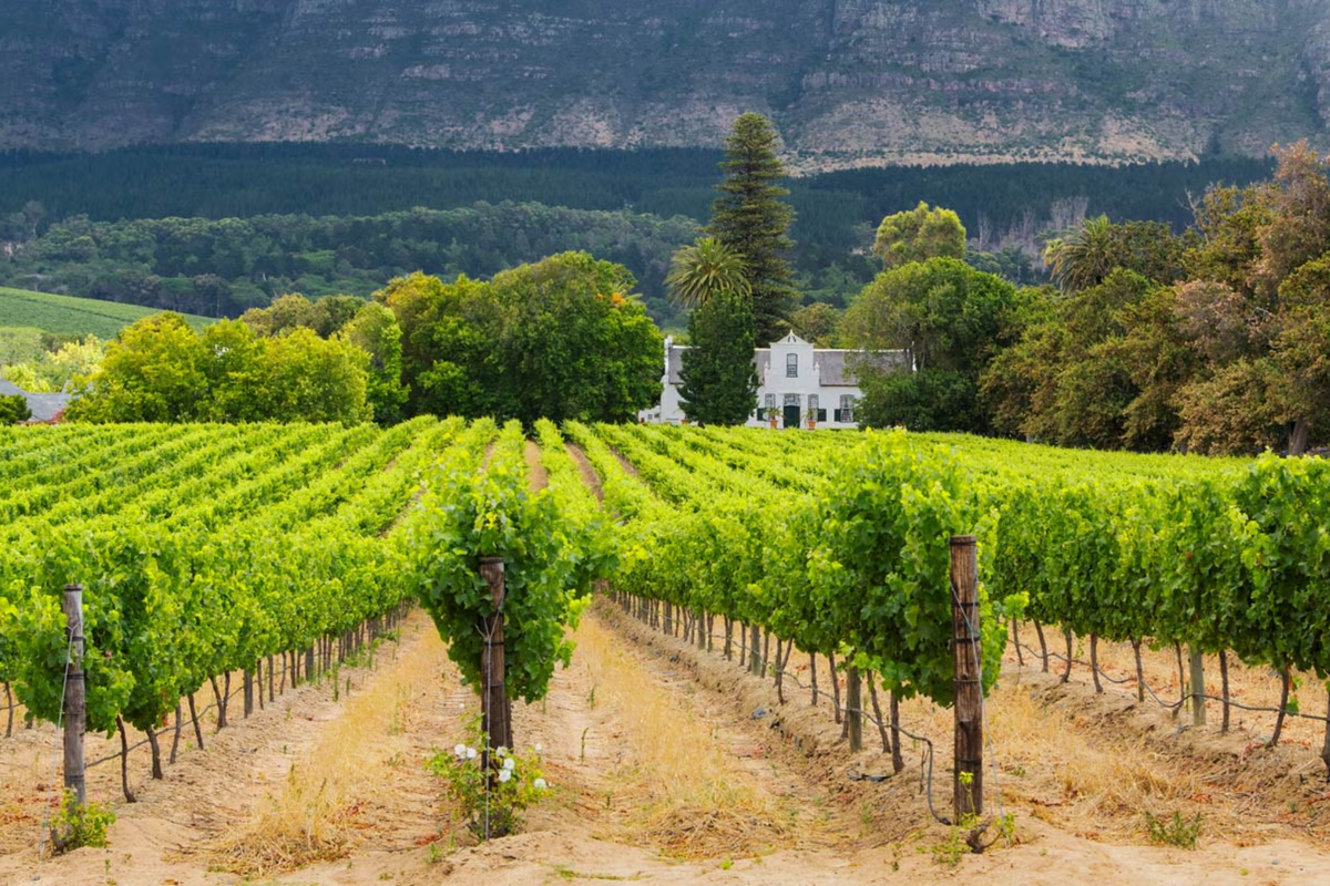 Vin de Constance 2023 - Klein Constantia | The WineStore in Europe DE