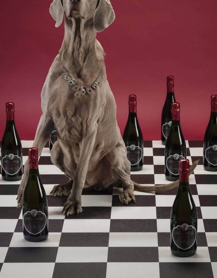 Môreson Miss Molly Petit Rosé für 14,90€ online kaufen The WineStore